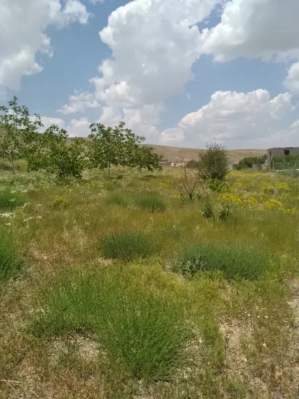 ۲۷۰۰ مترزمین مناسب باغ ویلا و...