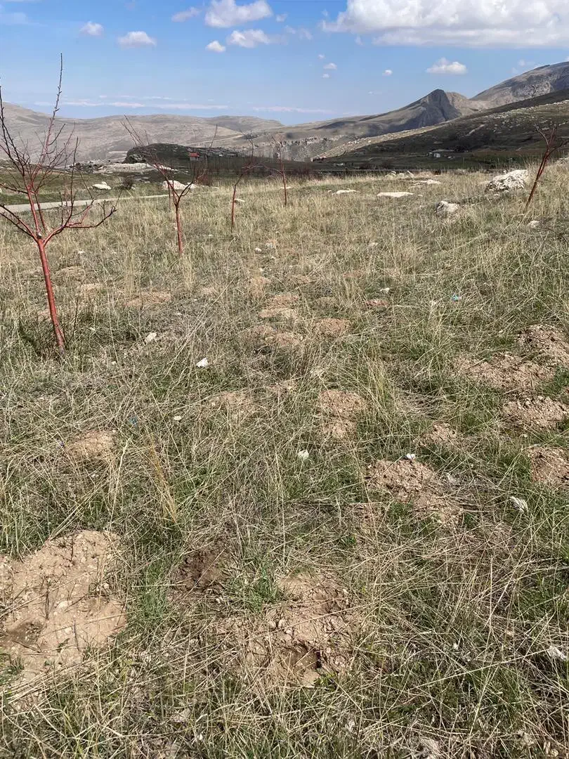 زمین بر  قره خاچ
