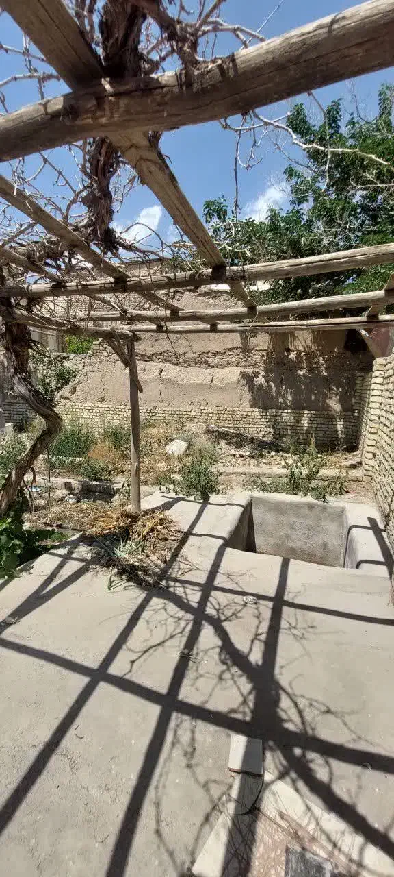 زمین پروانه دار در نیاسر