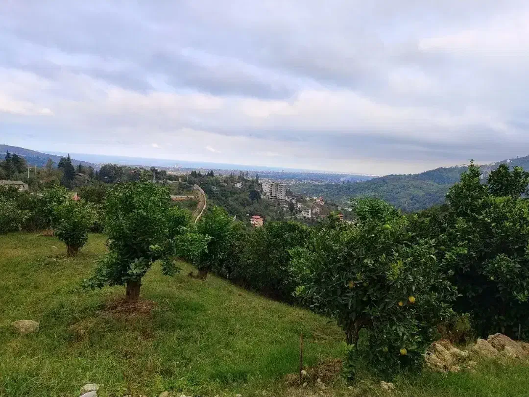فروش زمین در اربکله لرسانور