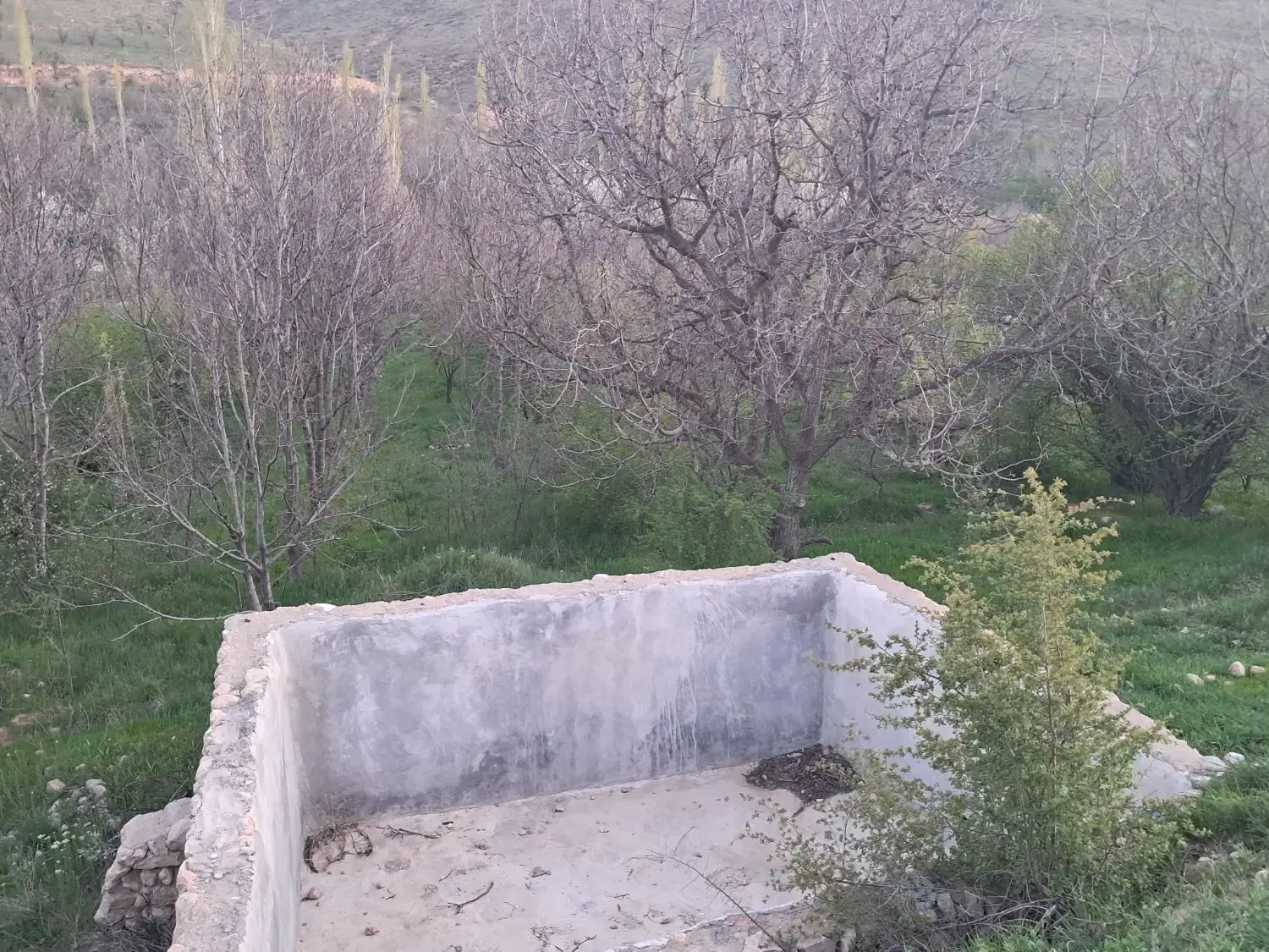 باغ در امام وردی حاشیه جاده