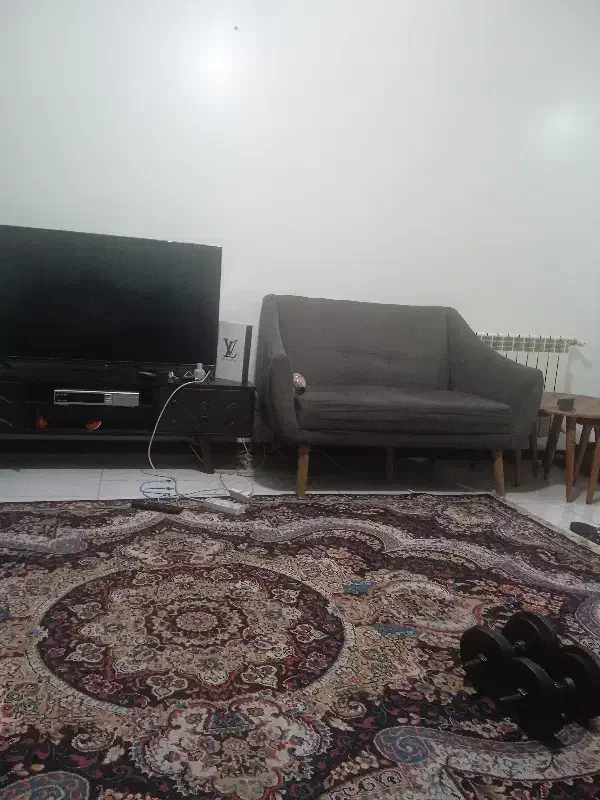 همخانه موجه