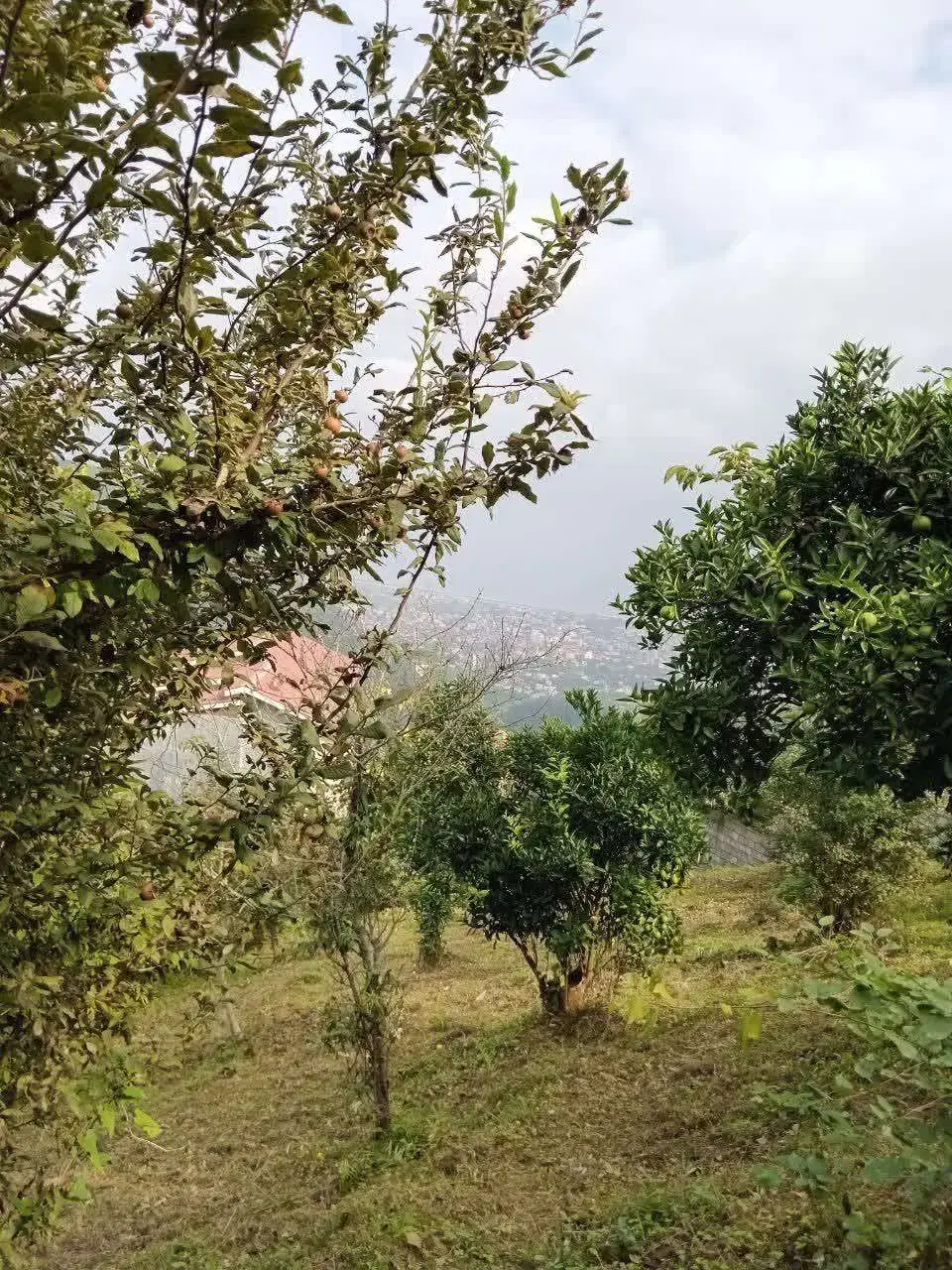 فروش زمین در اربکله