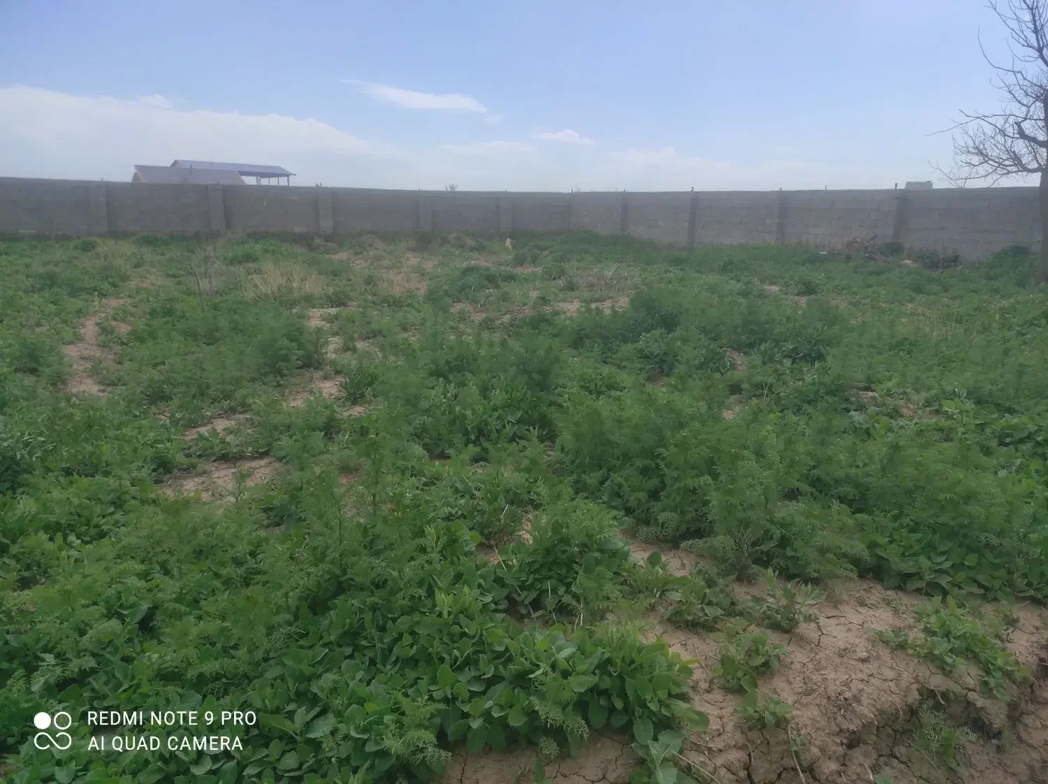 زمین ویلایی