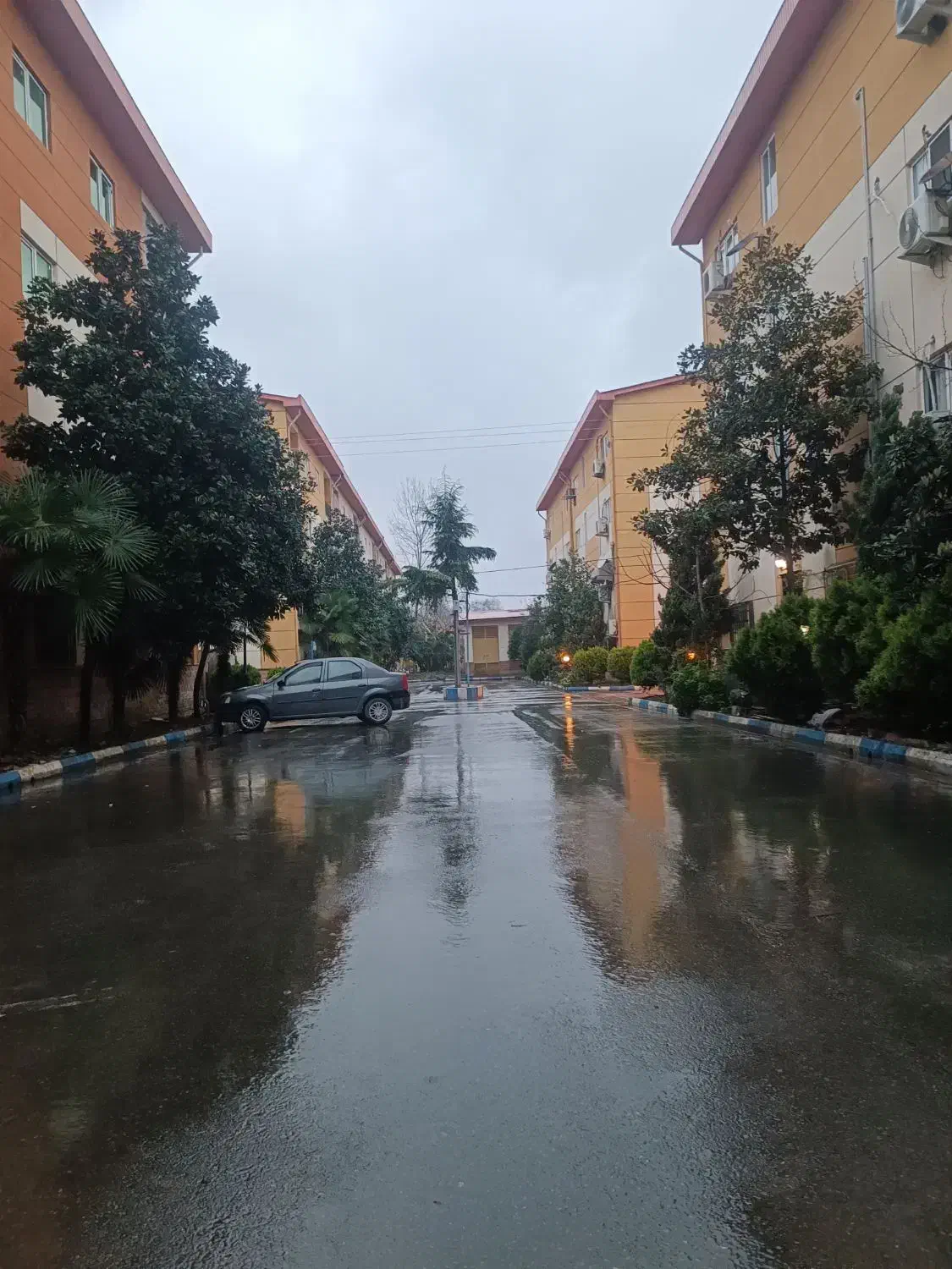 واحد جنگلی دو خواب