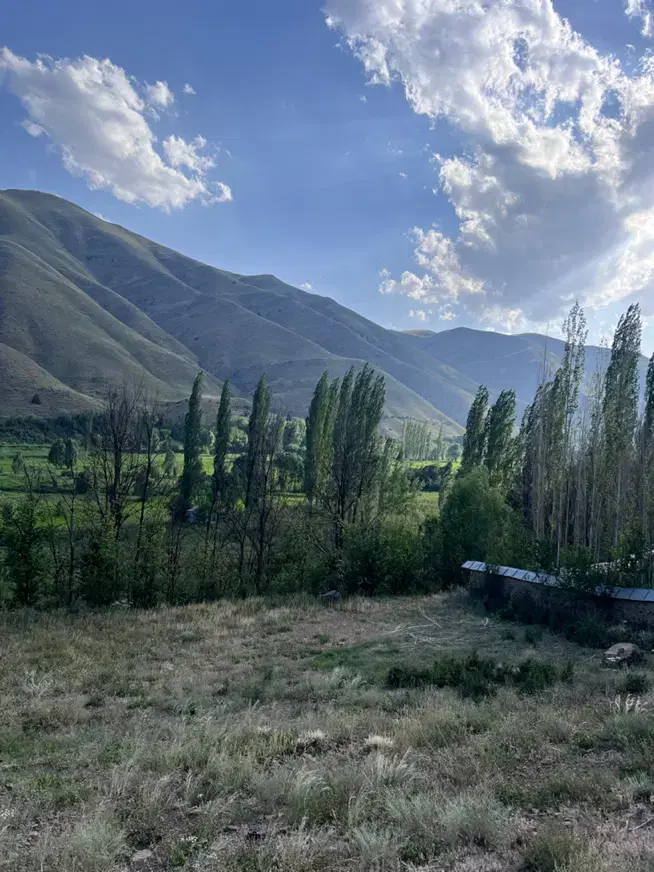 زمین کشاورزی