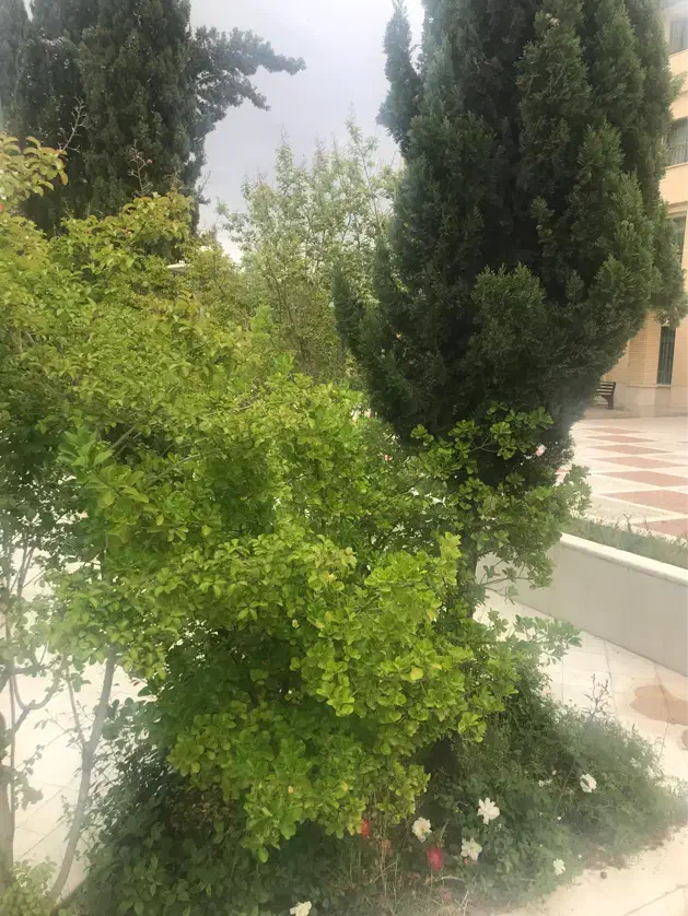 آپارتمان دو خوابه تک واحدی زرهی