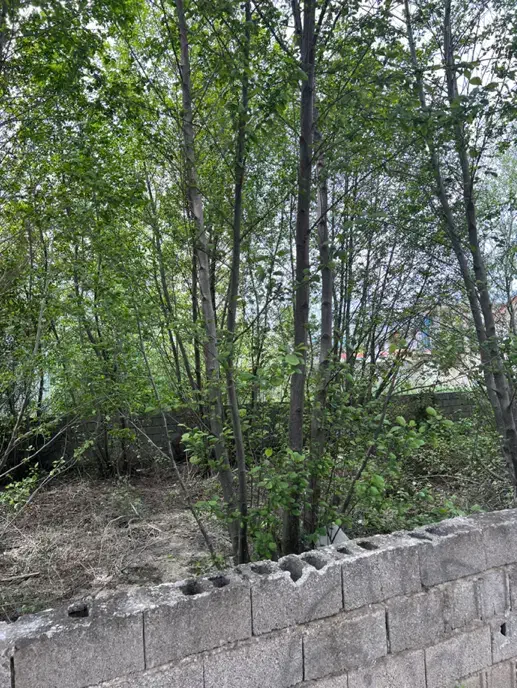 زمین کاربری مسکونی