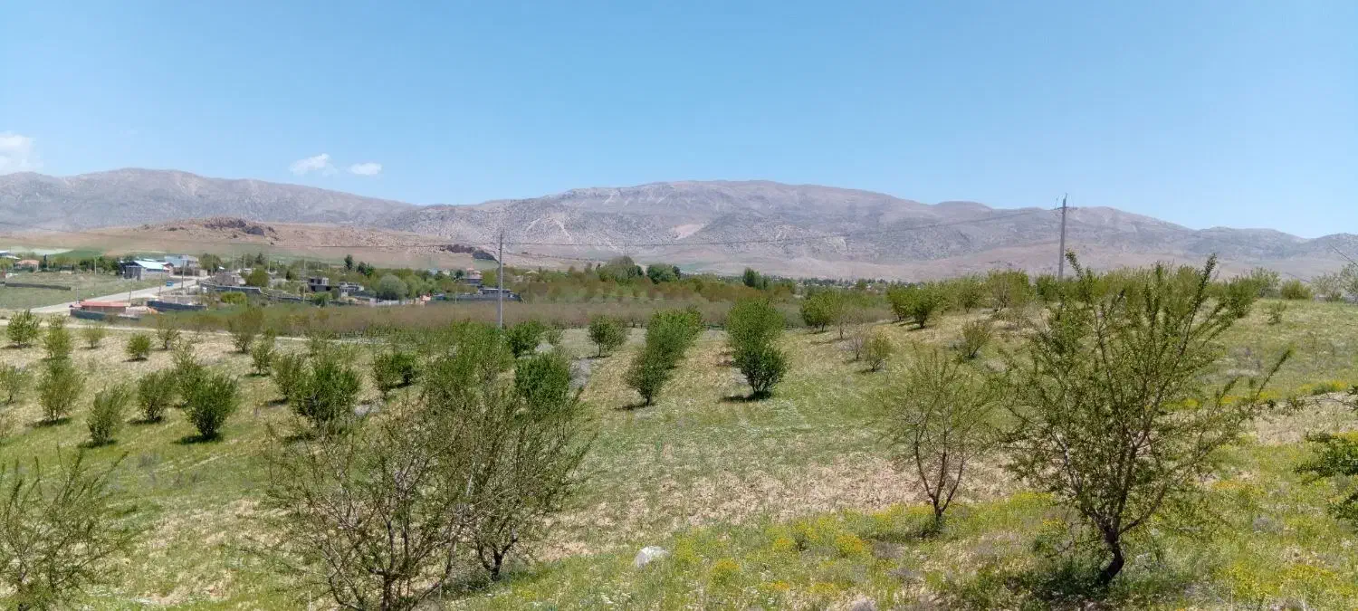 یک هکتار باغ یا زمین هماشهر