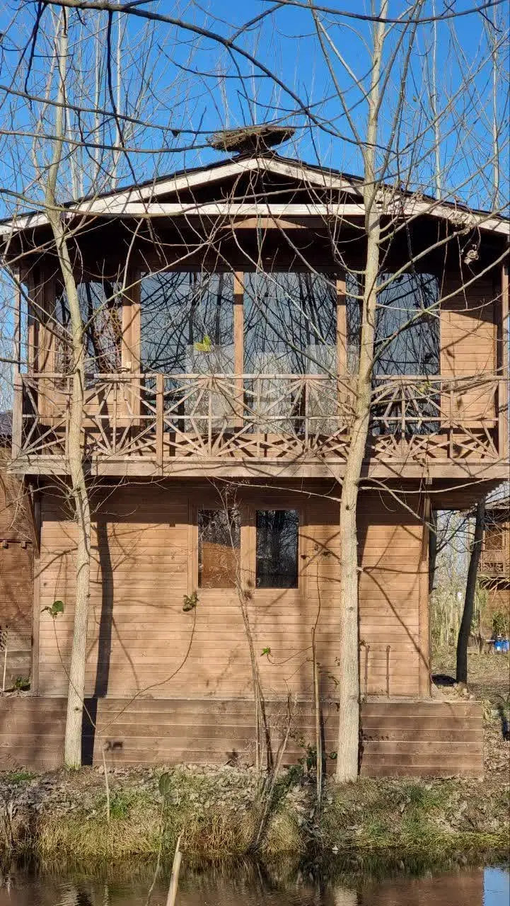 با انتخاب درست مالکیت مادام‌العمر برای توئه