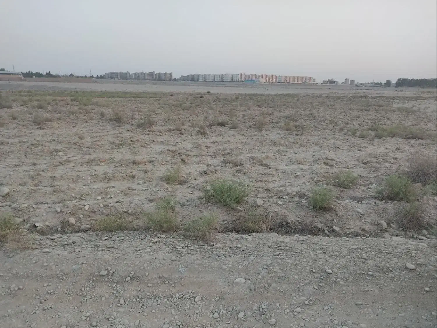 زمین بر رجایی
