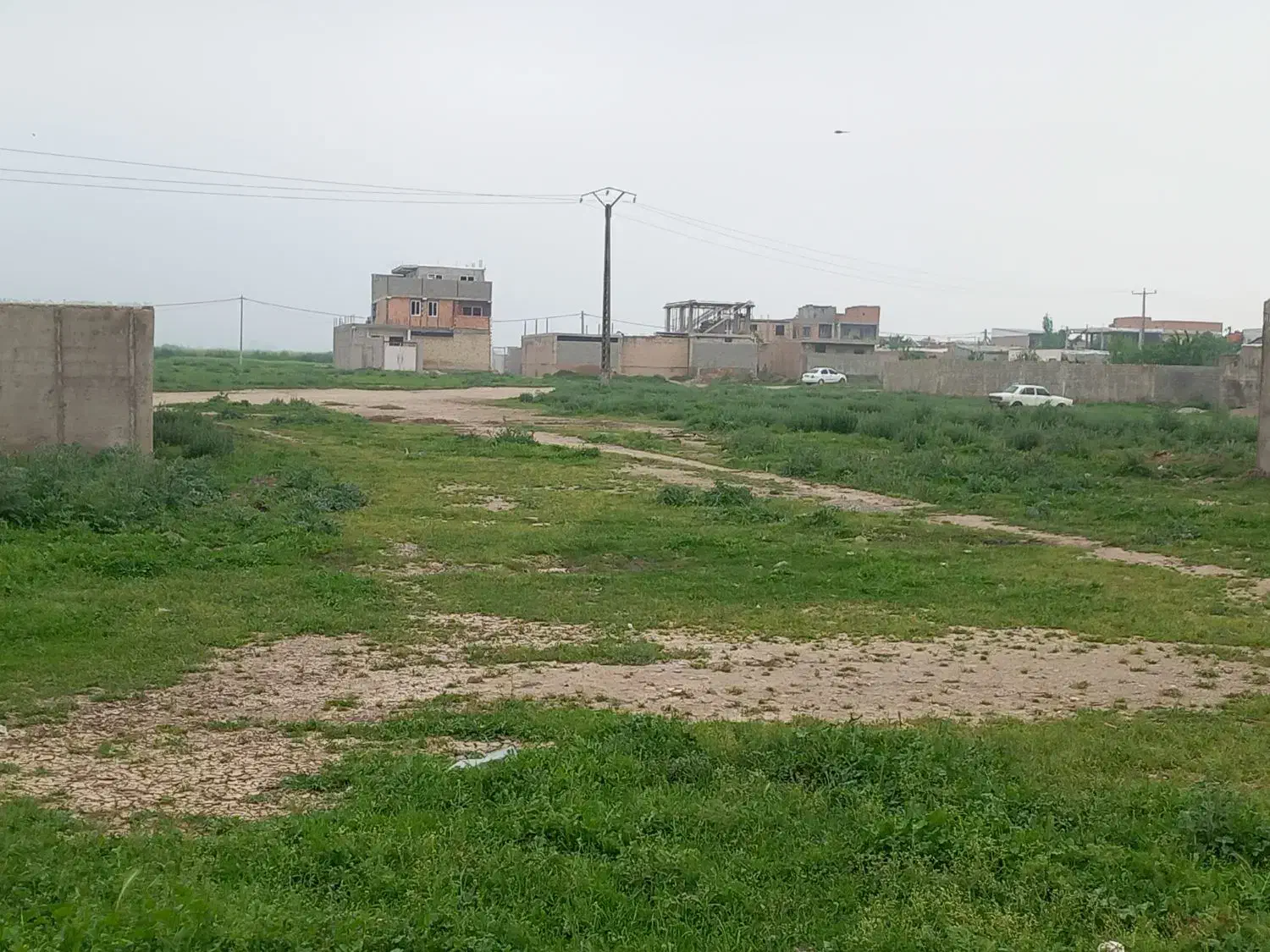 زمین