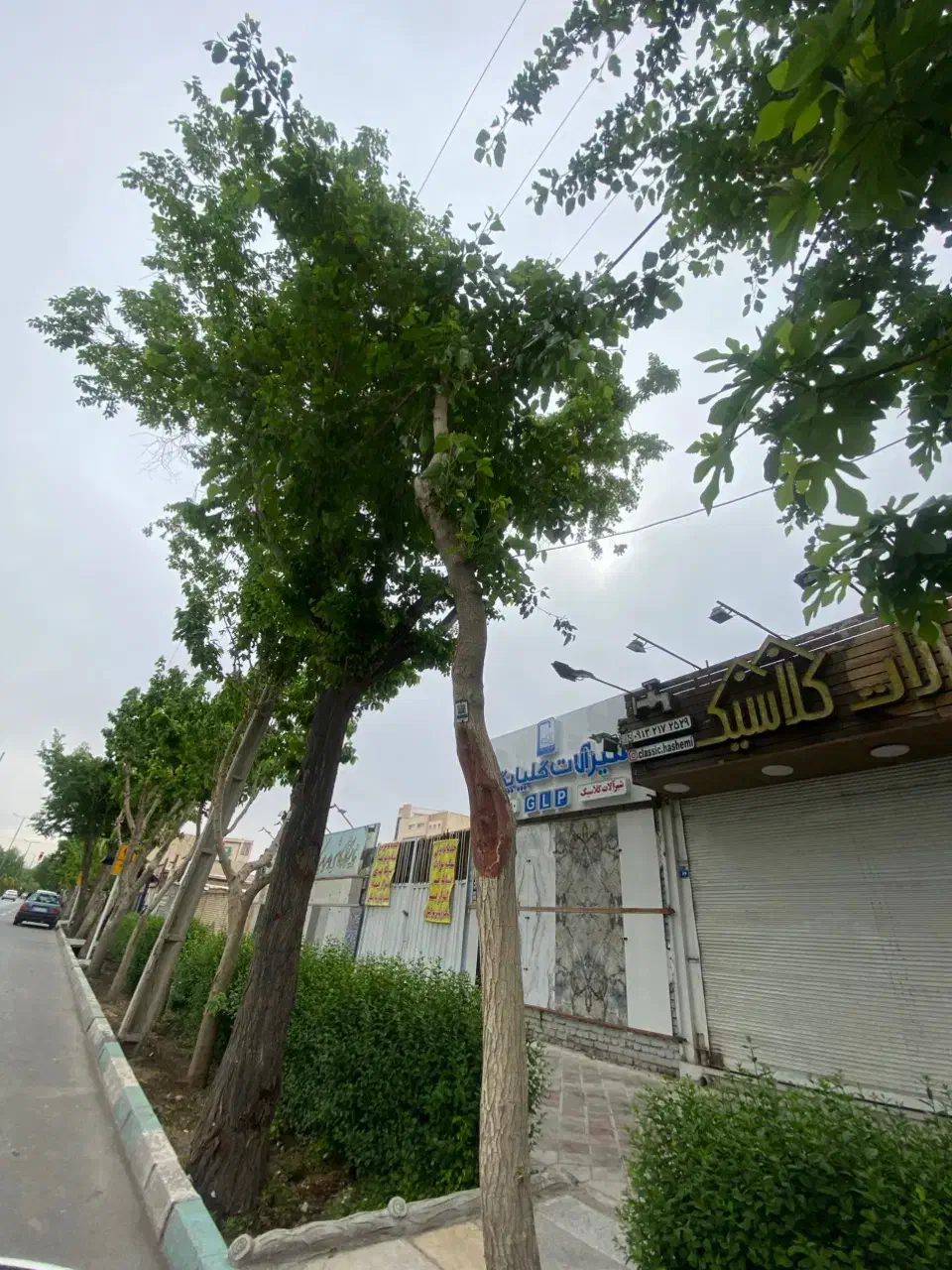 مغازه بر خیابان + مسکونی و زمین