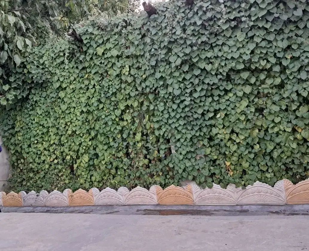 خوابگاه دخترانه فاطمه الزهرا با امکانات کامل