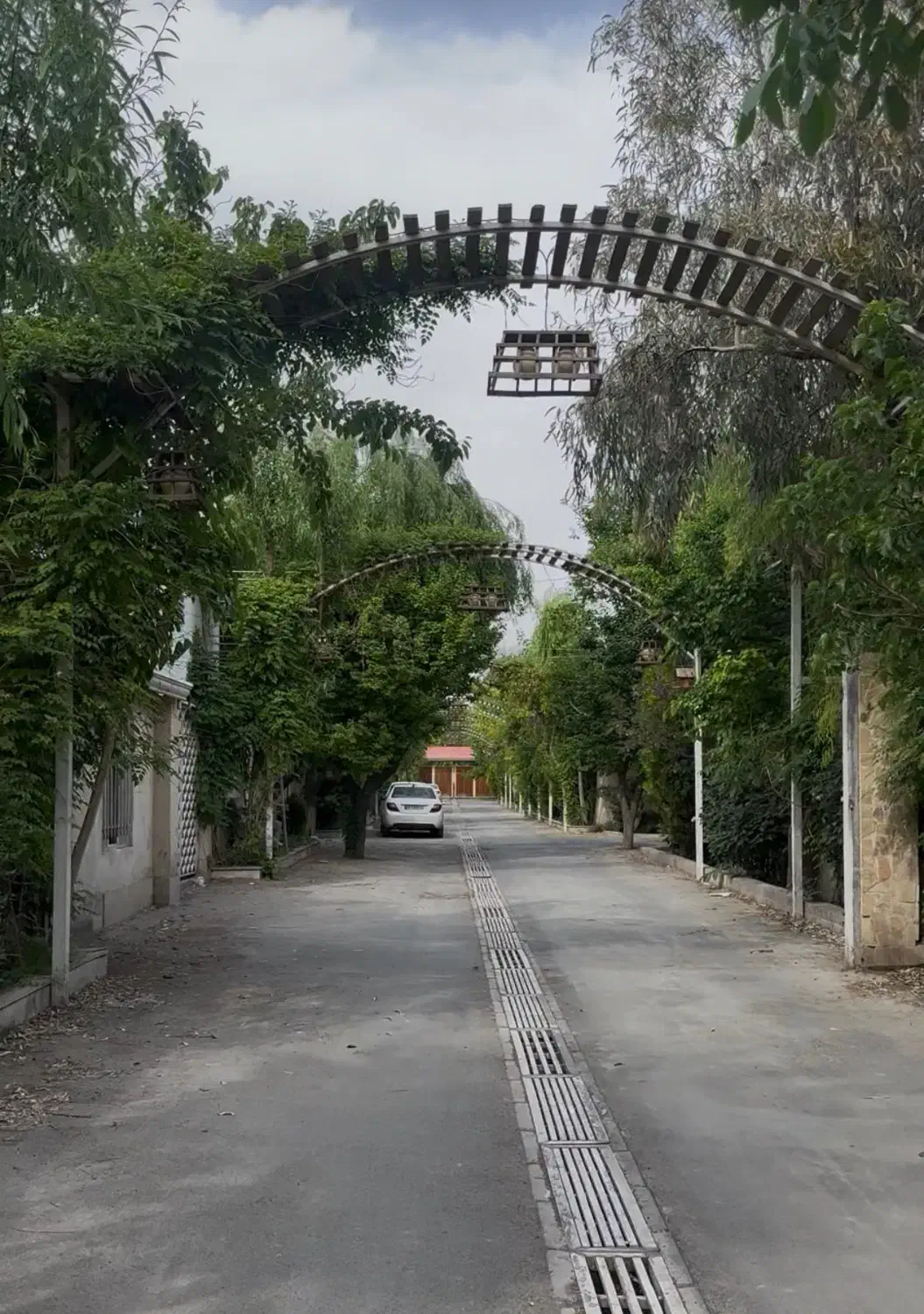 باغچه داخل بافت مسکونی چهار دیواری شهرک