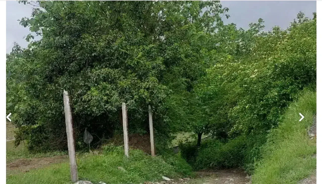 معاوضه زمین لواسون با کیش