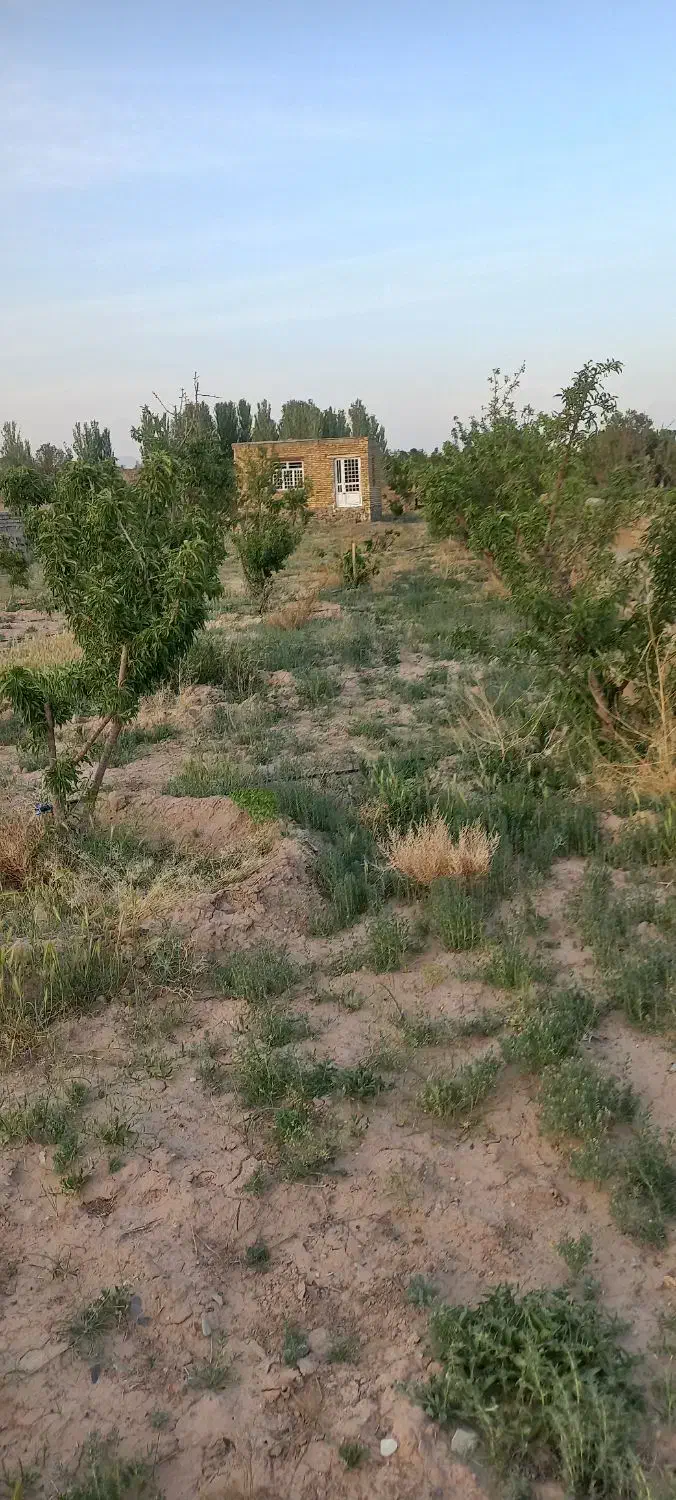 فروش زمین