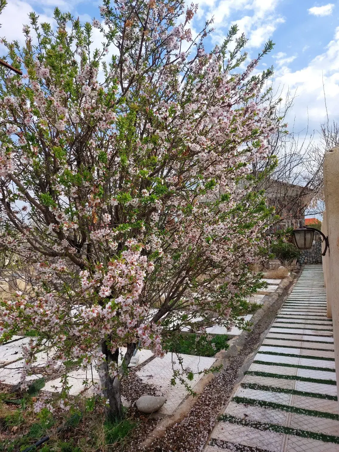 باغ ویلا درروستای تاریخی مصدق بافول امکانات