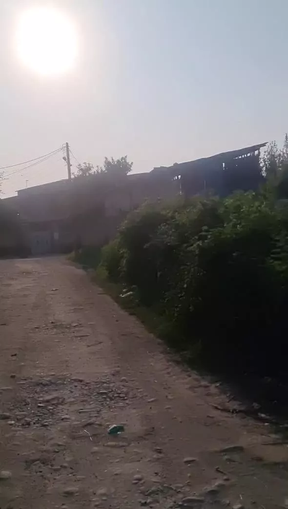 زمین چسبیده به بافت سالیکنده