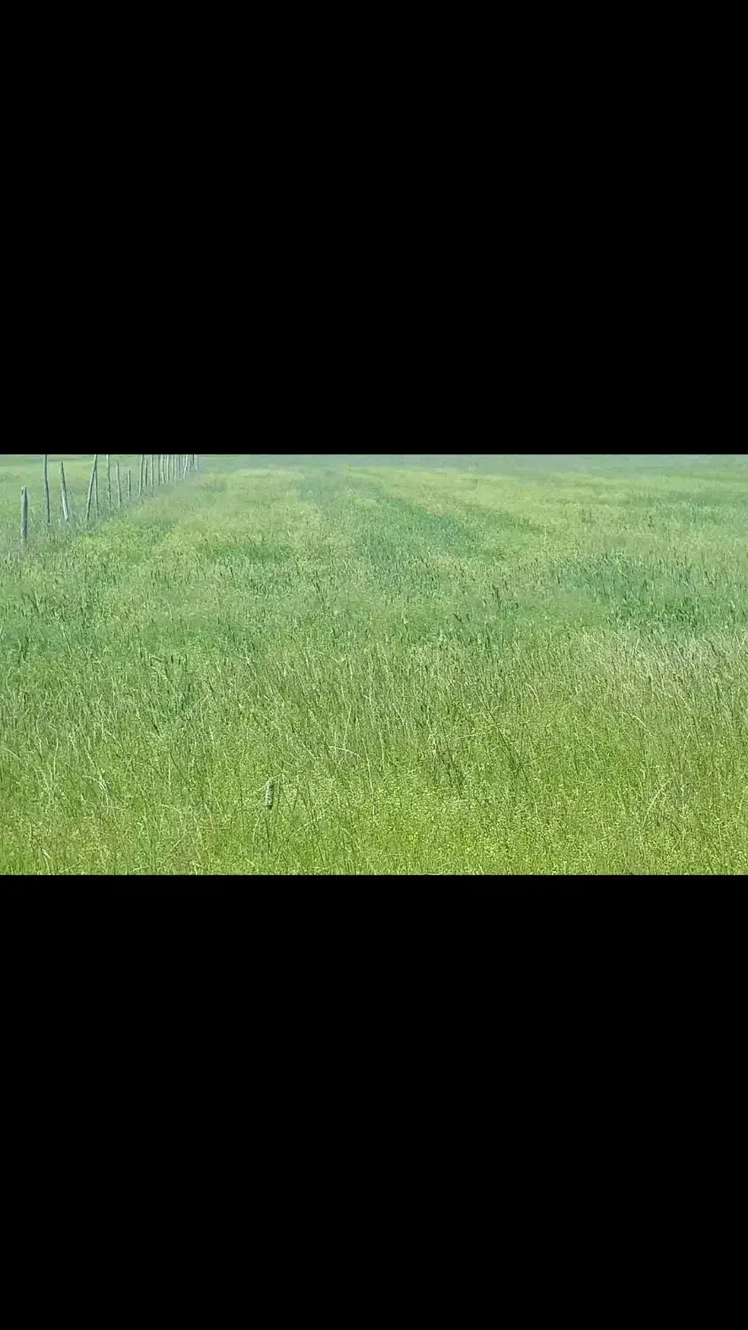 2_5 هکتار ( زمین کشاورزی )