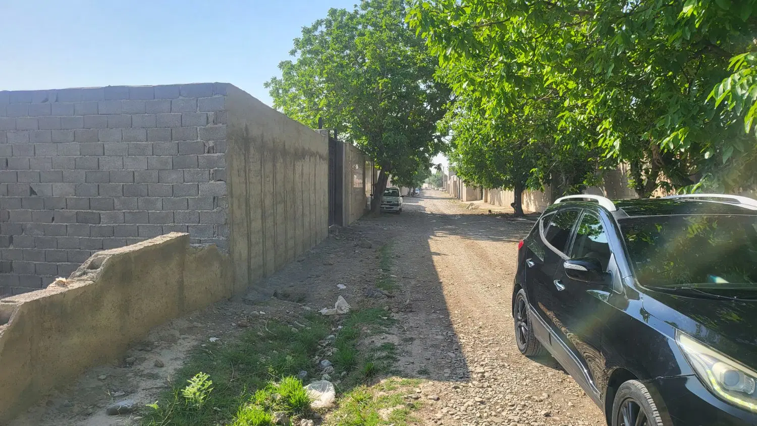 زمین ۵۰۰ متری طلا