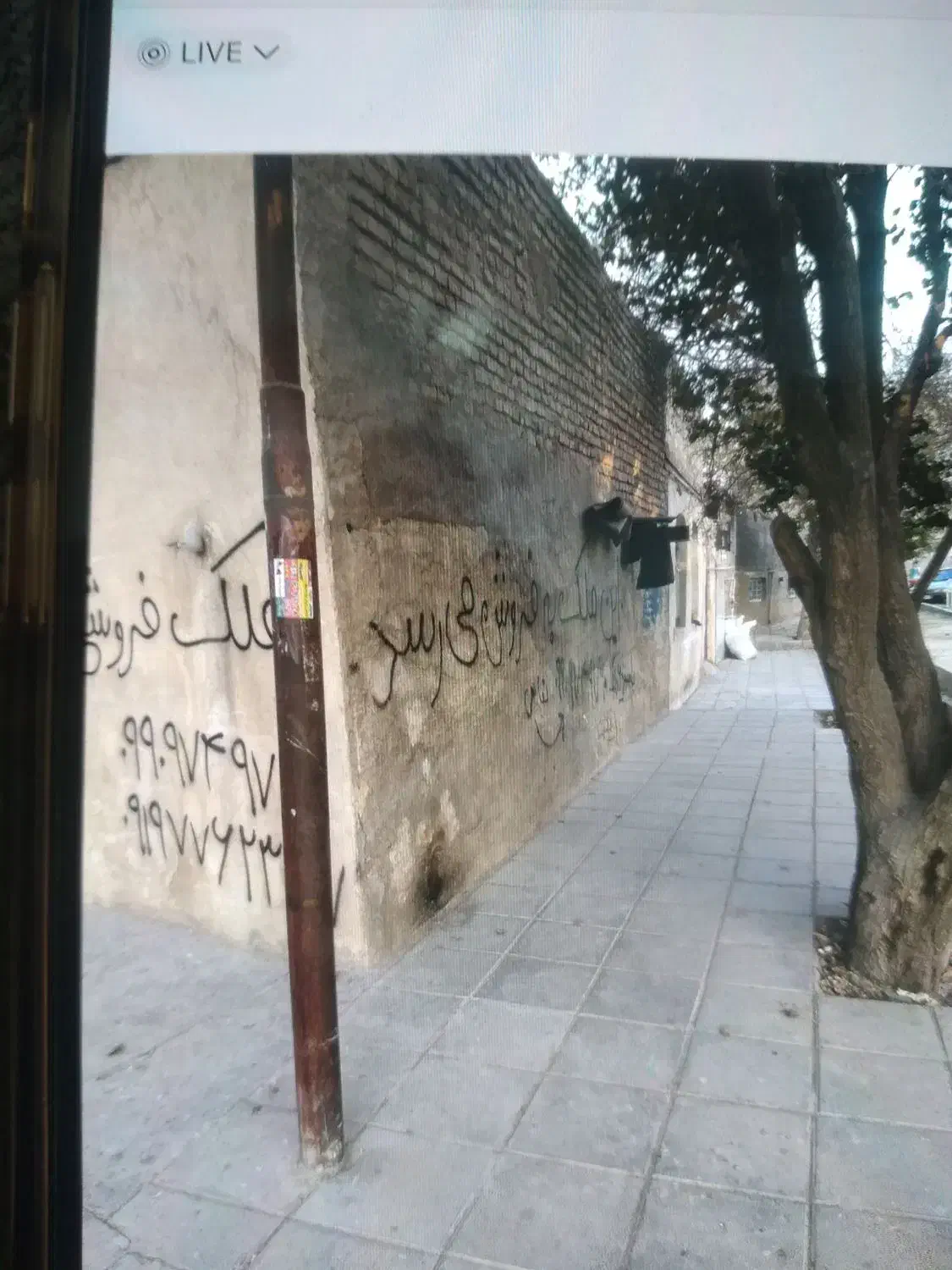 ملک کلنگی فروشی
