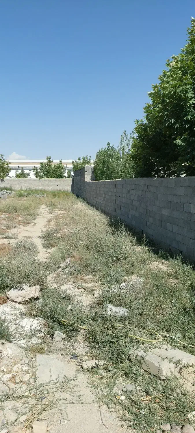 زمین مسکونی سهیلیه