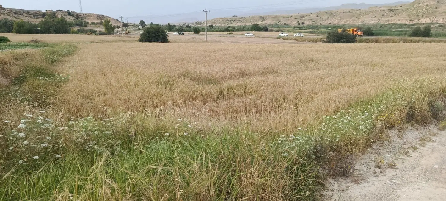 فروش دو پلاک زمین هر پلاکی ۸۰۰ متر