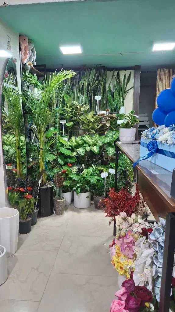 واگذاری گل فروشی سایه