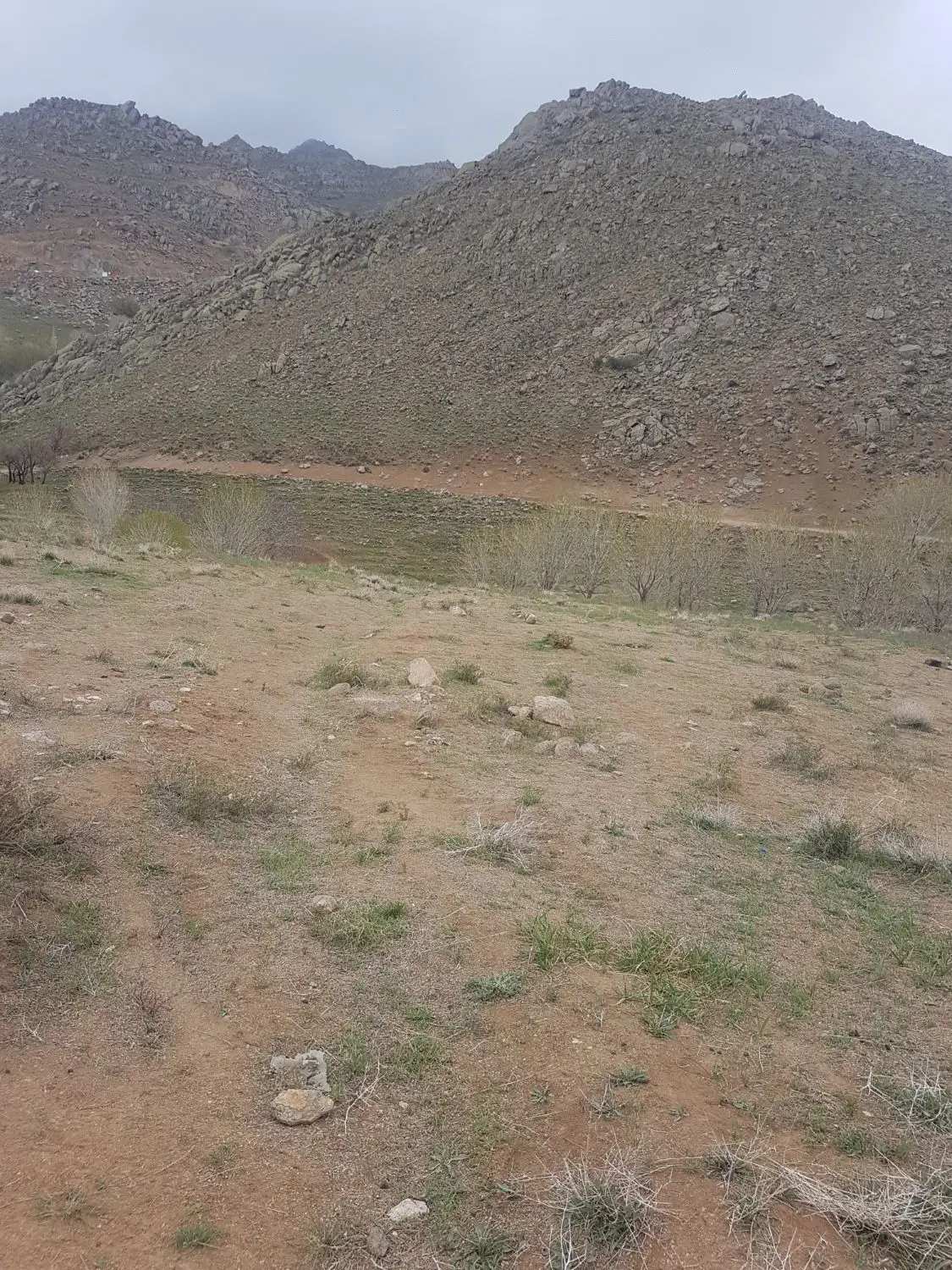 زمین کشاورزی دیم قولنامه