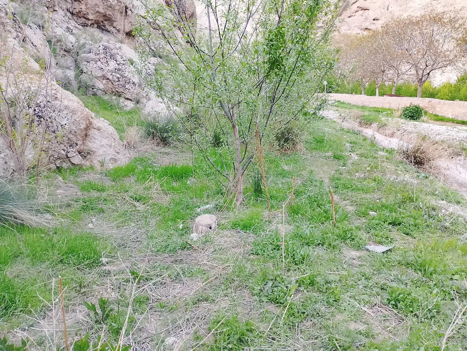 زمین کوچیک اخلمد با قیمت کاملا مناسب