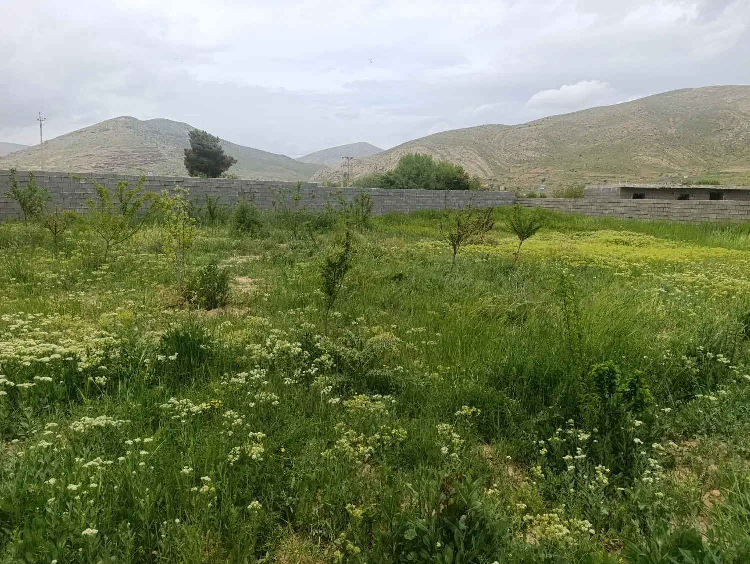 فروش زمین ۵۰۰ متری مجموعه سرچشمه کلستان