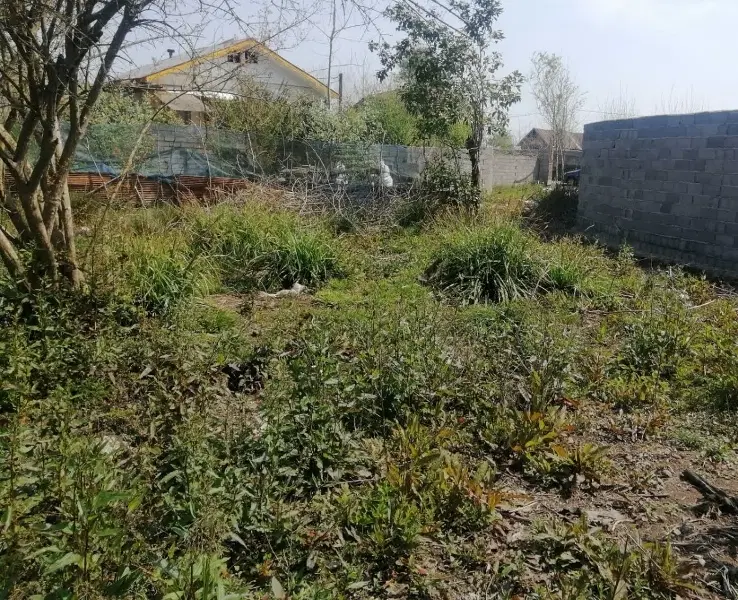 زمین مسکونی