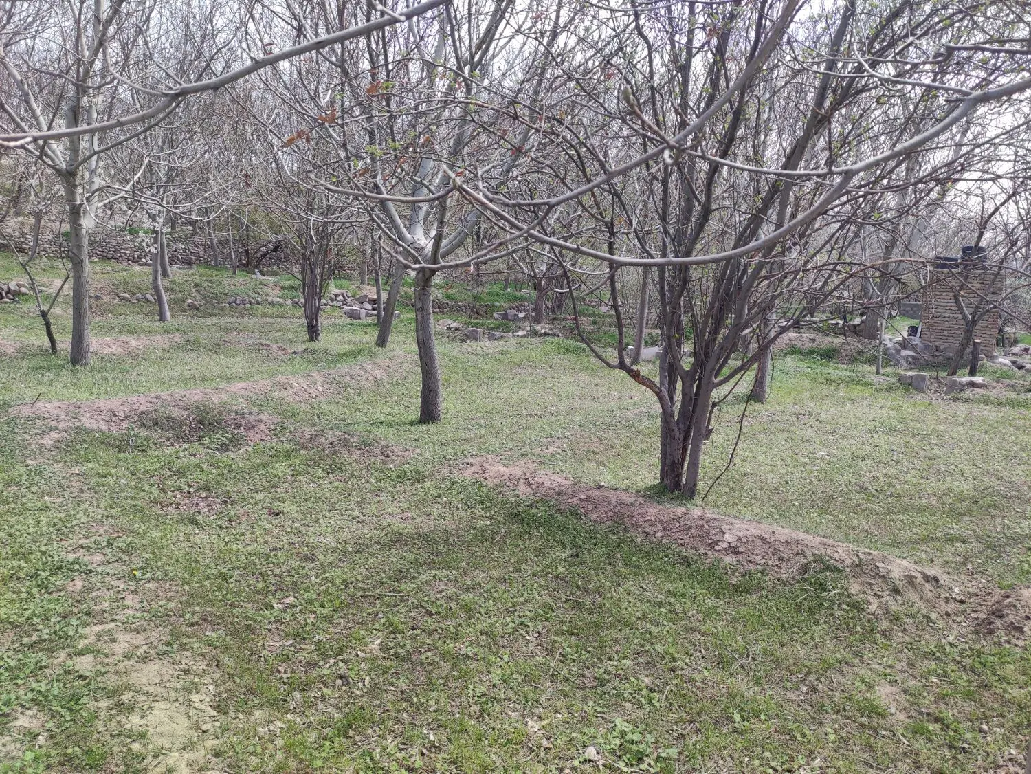 باغ ویلایی اسکو