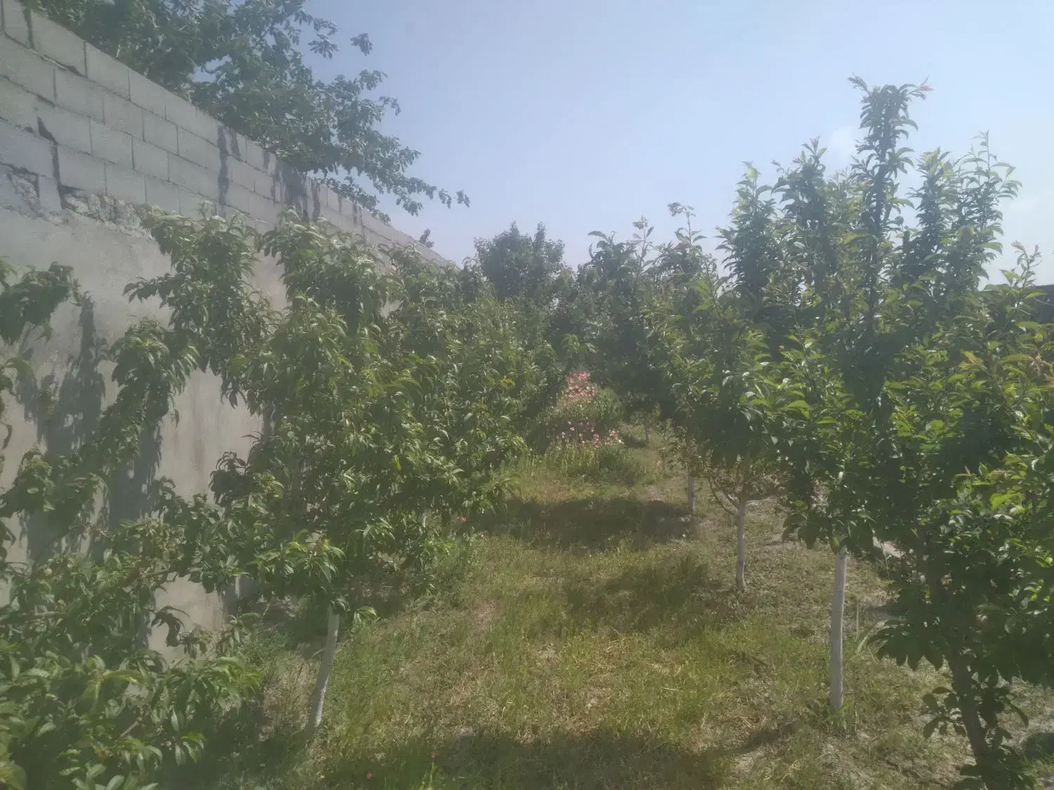 ۶۰۰متر ویلایی_سندشش دانگ ملکی_معاوضه باخودرو