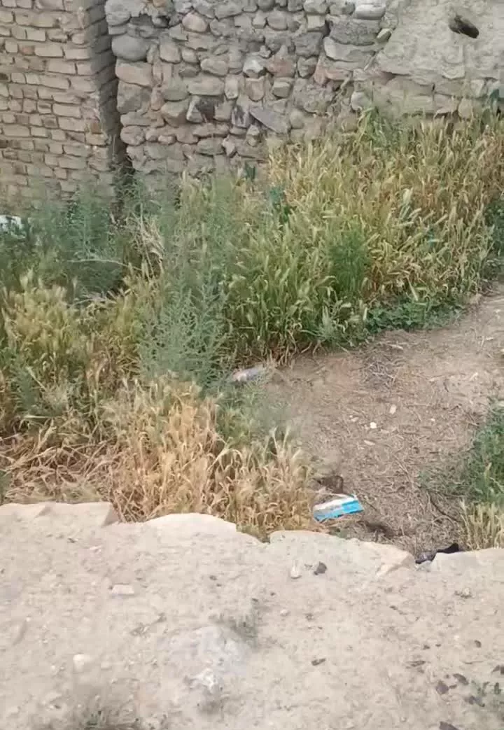 زمین تجاری