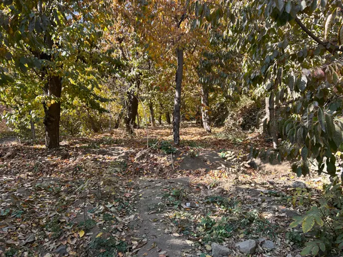 زمین در روستای تالون بعداز کن سولقان