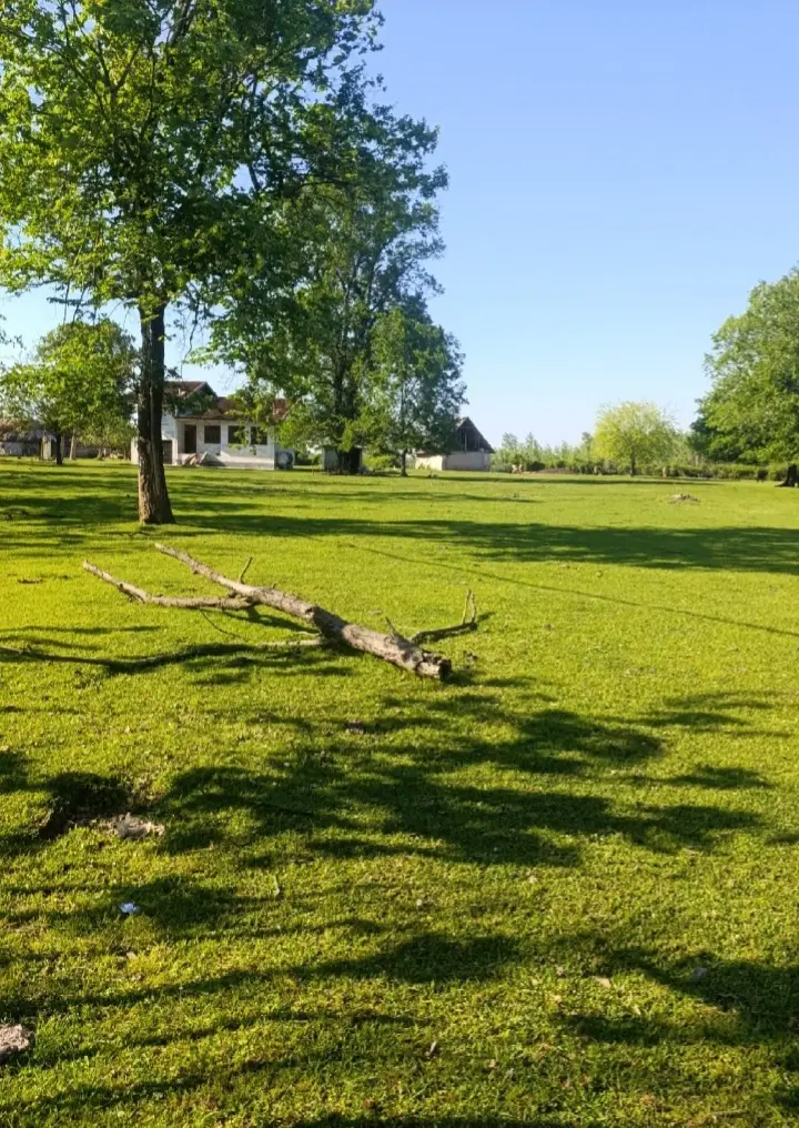 زمین مسکونی باغی