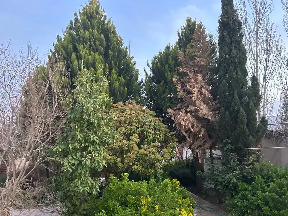 اجاره روزانه خونه باغ ویلا