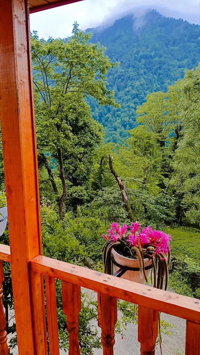 اجاره ویلا چوبی در دل جنگل