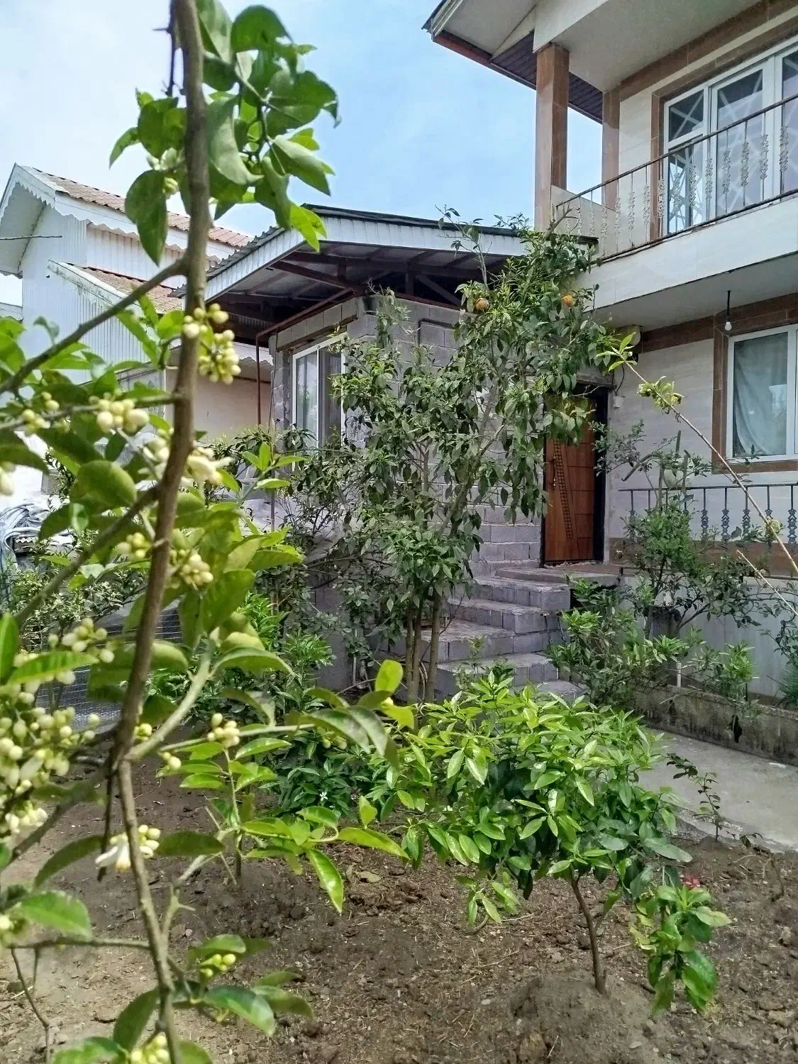 اجاره سوئیت پل کیسم