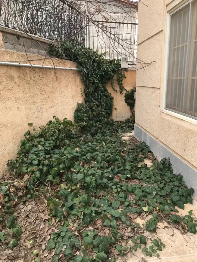 ۶۲۰متر باغچه ۱۸۵متر بنا سند تک برگ