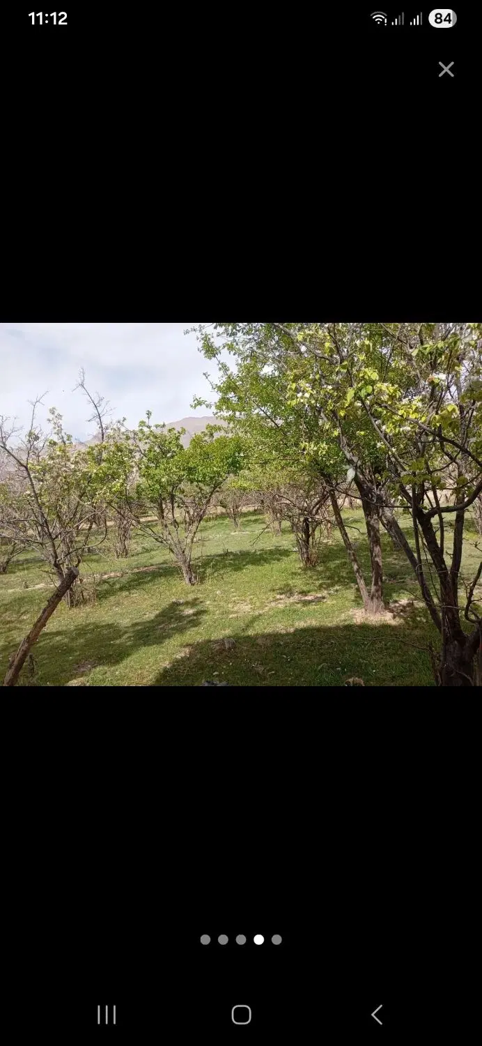 باغ ویلا کوهپایه