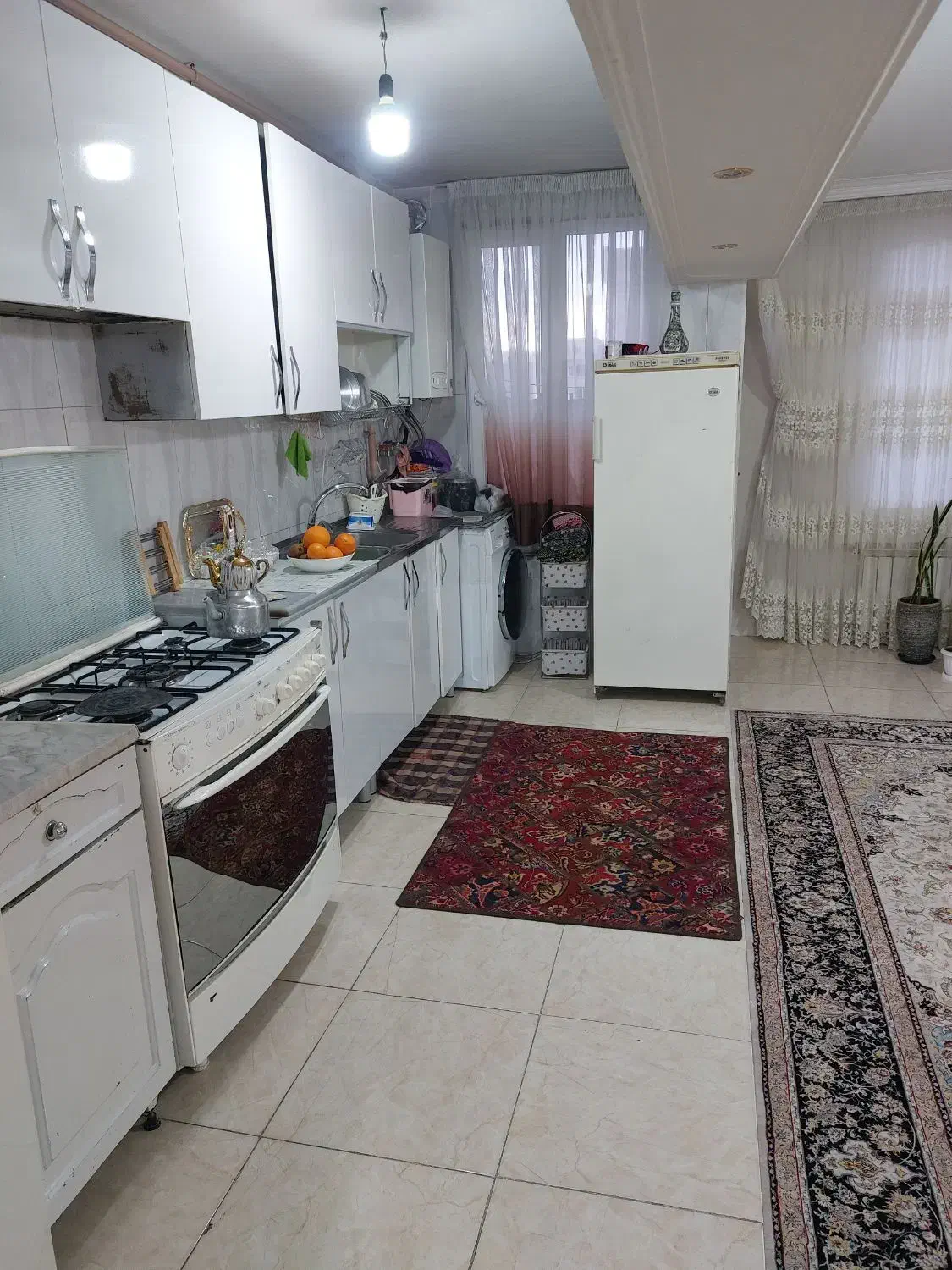 ملک در دانش