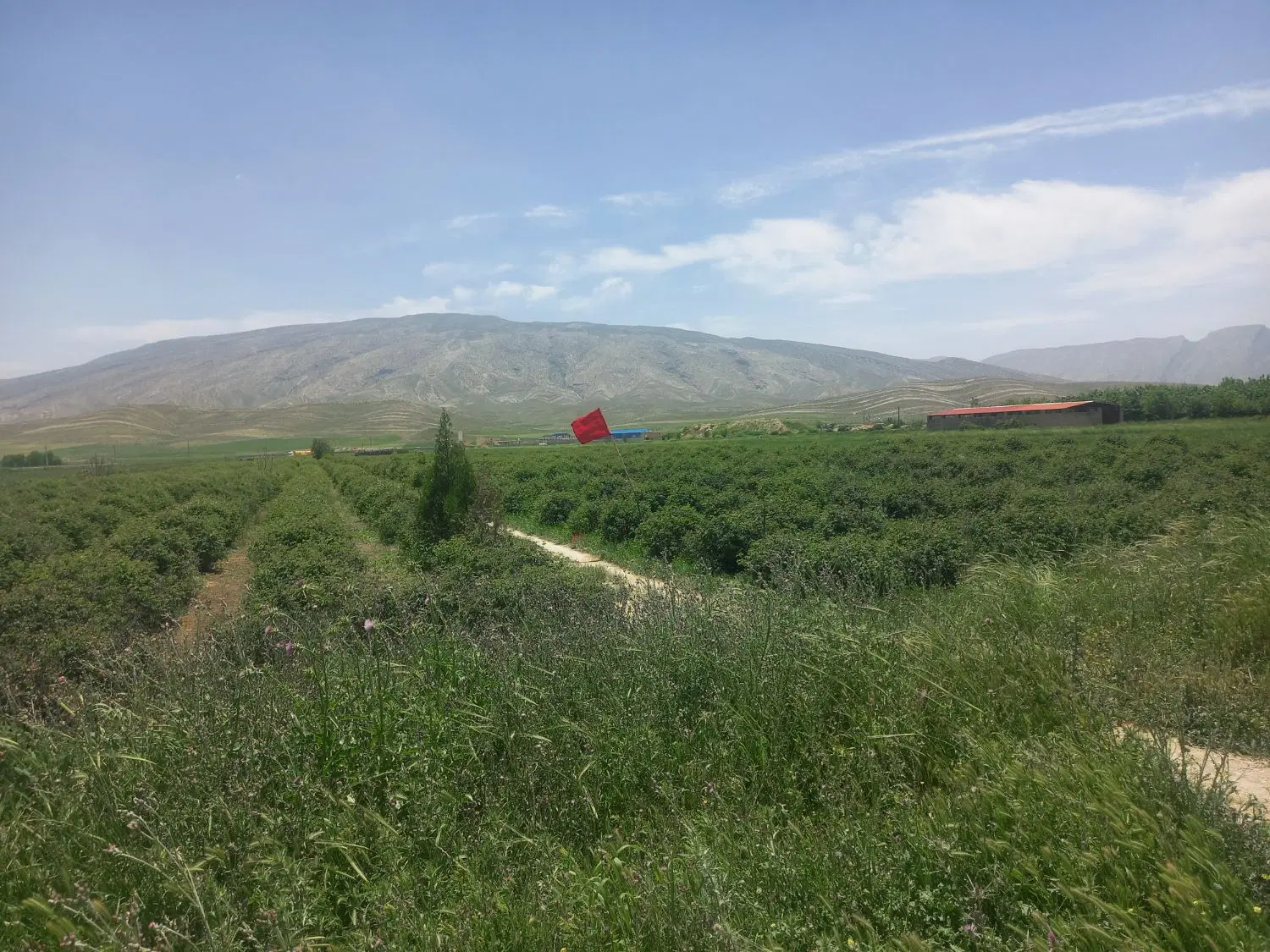 فروش زمین باغ شهری
