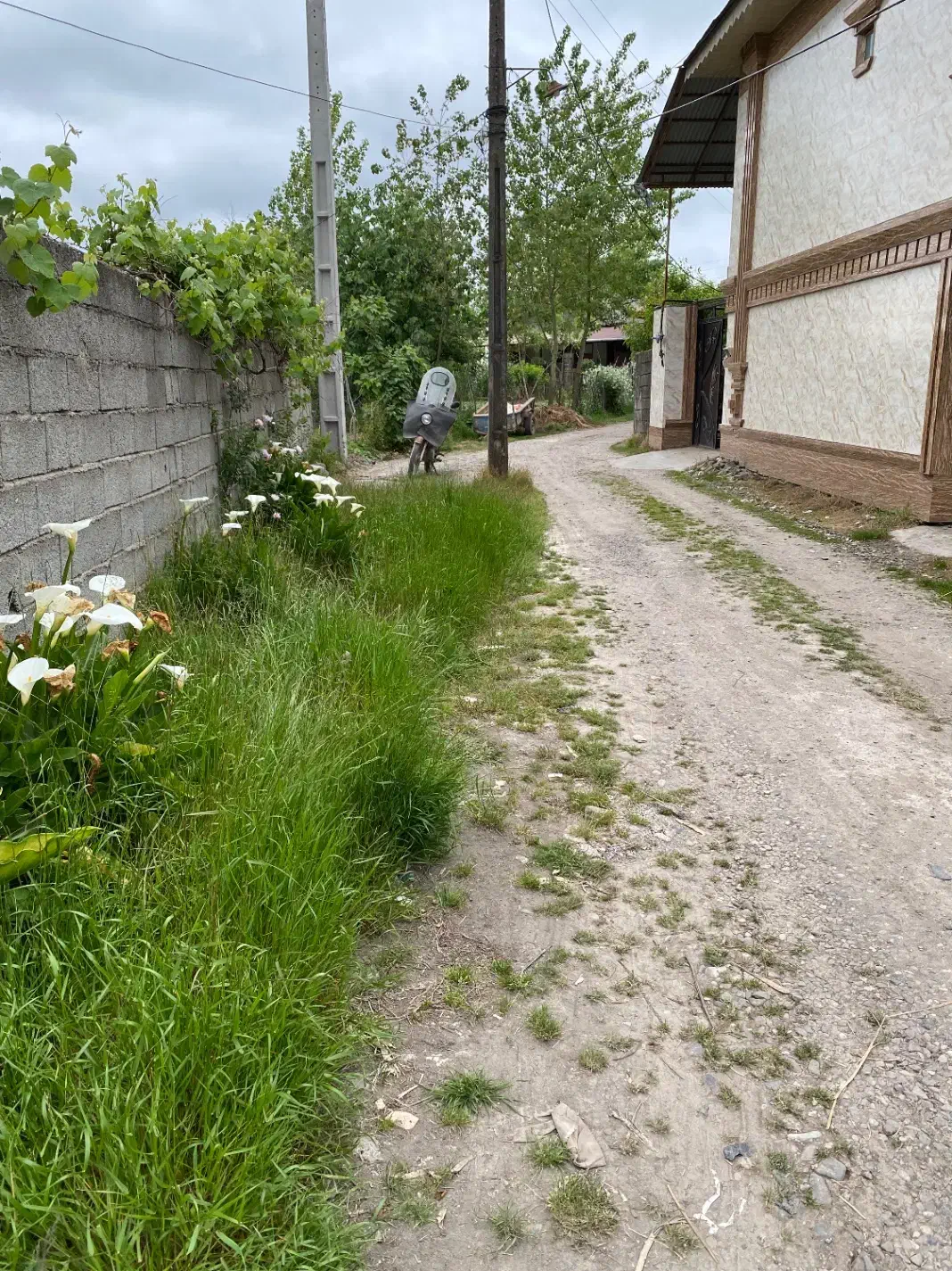 یک قطعه زمین