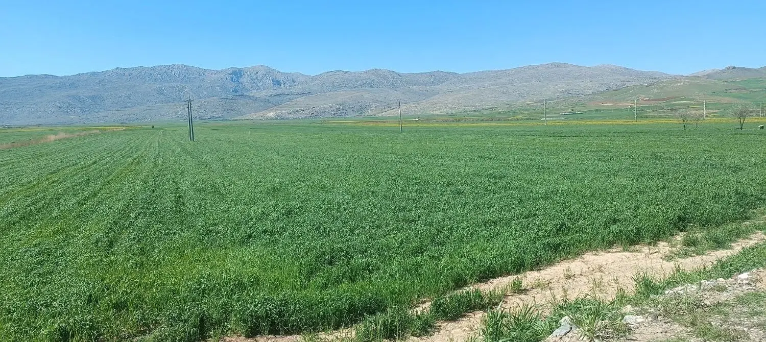 زمین کشاورزی با بهترین موقعیت مکانی