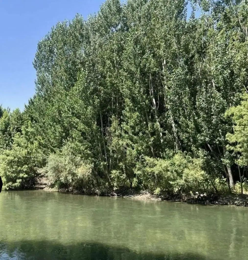 مغازه ابتدای شهرک معلم