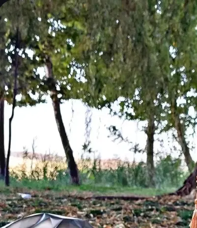 زمین خالی برای ساخت وسازدرتازه شهر