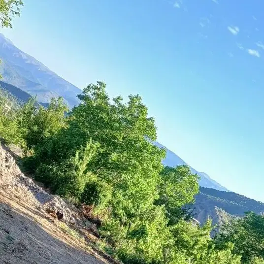 باغ در سیسخت